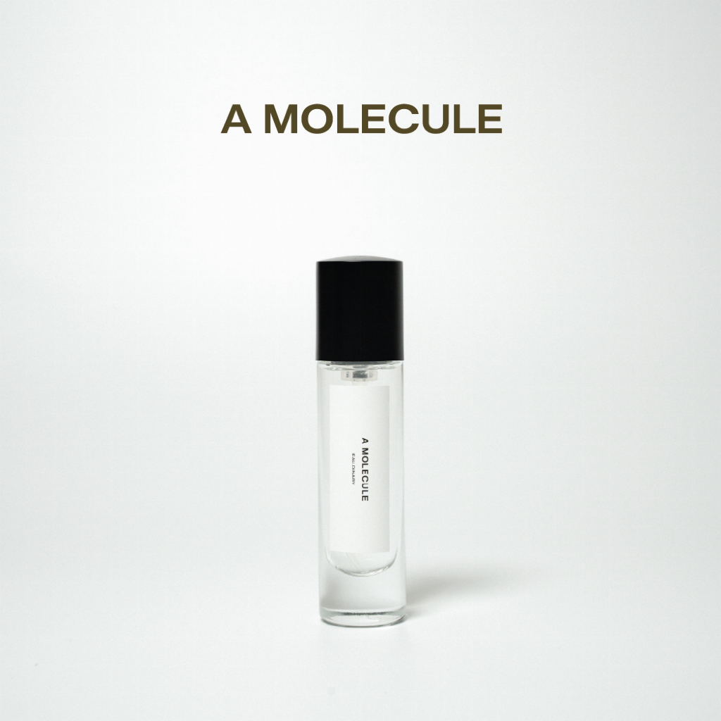 A Molecule • Travel Size 12 ml