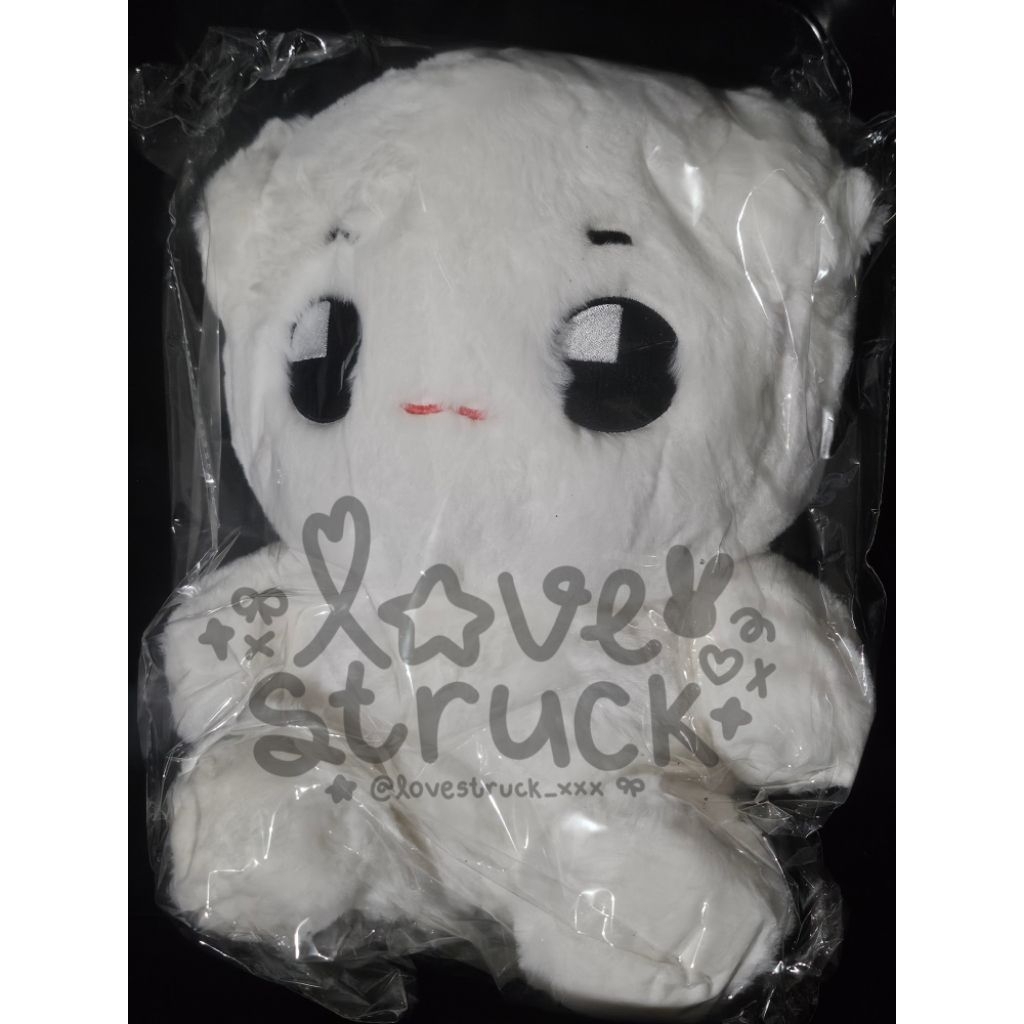 พร้อมส่ง ✨️ ตุ๊กตาแทยง TYONGYA ตัวใหญ่ 40 ซม.#NCT127 #TAEYONG