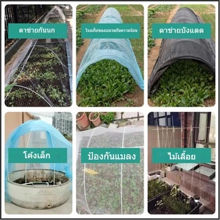 เส้นผ่านศูนย์กลาง 4/6/8 มม. (แท่งกลมตัน)GLASS FIBER TUBE 120/150/180cm ไม้ค้ำต้นไม้ แพ็คละ10ชิ้น