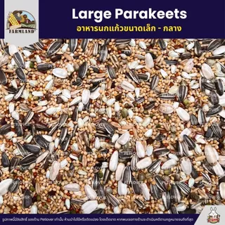 (5KG/10KG) Farmland Large Parakeets อาหารนกแก้ว อาหารธัญพืชสำหรับนกแก้วขนาดเล็ก - กลาง