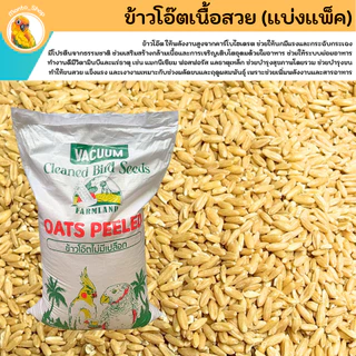 อาหารนก ข้าวโอ๊ต เนื้ออวบสวย แบ่งแพ็ค 1 kg.