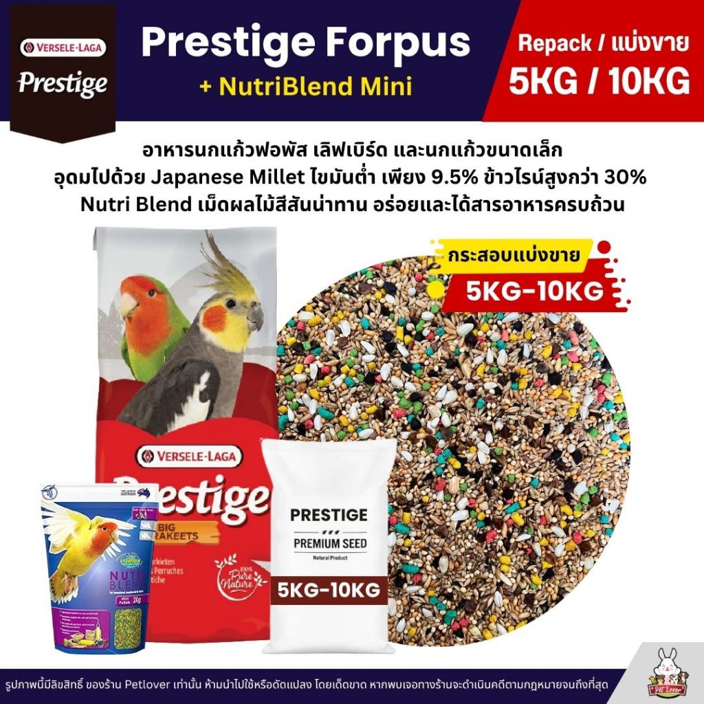 (5KG/10KG) Prestige Forpus x Nutri Blend Mini อาหารนกฟอพัส เลิฟเบิร์ด หงส์หยก ค็อกคาเทล ฯลฯ