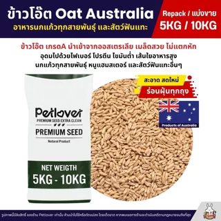 (5KG/10KG) ข้าวโอ๊ต Oat Australia เกรด A ข้าวโอ็ต อาหารนกแก้ว และสัตว์ฟันแทะ สะอาด ร่อนฝุ่นทุกถุง