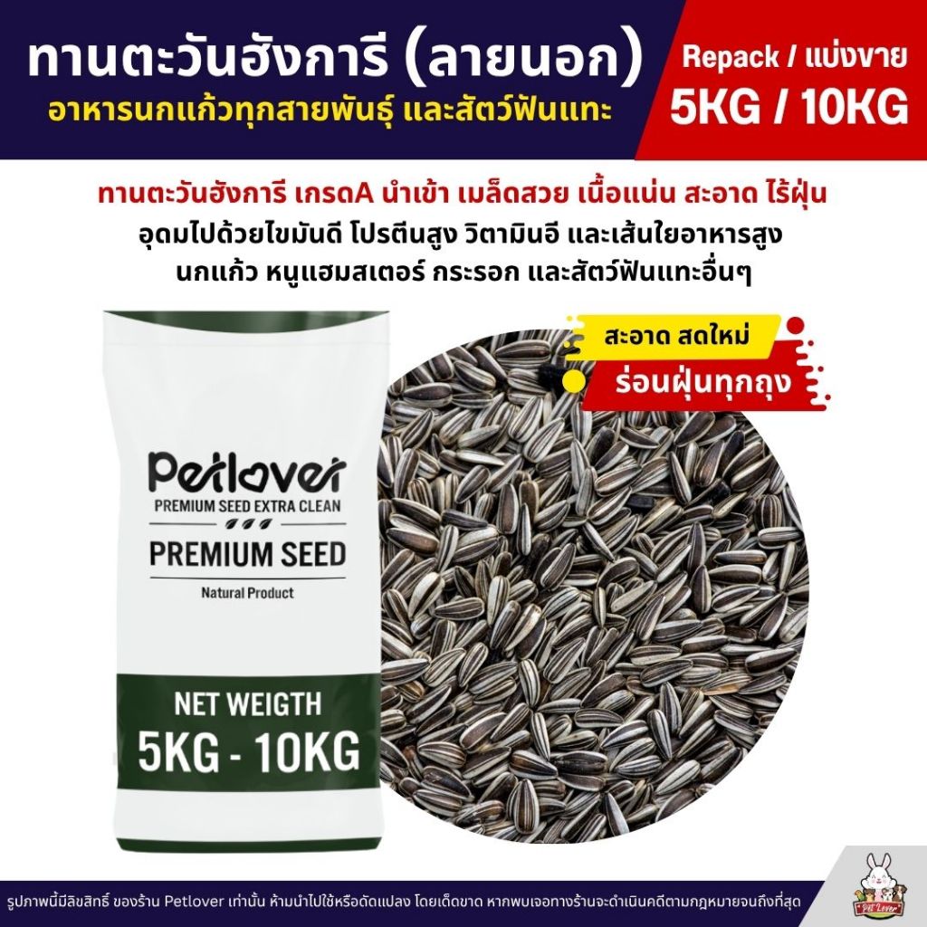 (5KG/10KG) ทานตะวันฮังการี (ลายนอก) เกรดA เม็ดเล็ก อาหารนกแก้ว และสัตว์ฟันแทะ สะอาด ร่อนฝุ่นทุกถุง