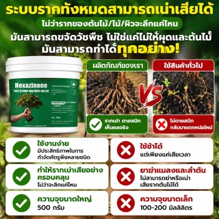 🌲ยาฆ่าต้นไม้ใหญ ยาฆ่าหญ้า รากเน่ารากไม่ขึ้นอีก ยาฆ่าตอไม้ สารกําจัดกอไผ่ แบบผง สานกำจัดกอไผ่ วัชพืช