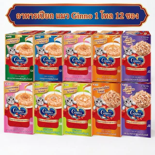 [โหล 12ซอง] Ginno กินโนะ อาหารเปียกแมว เกรดพรีเมียม แบรนด์ ญี่ปุ่น 12 ซอง
