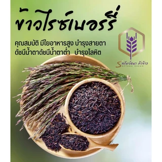 ข้าวไรซ์เบอร์รี่นาปี แพคสุญญากาศ1กิโลกรัม อร่อย นุ่ม