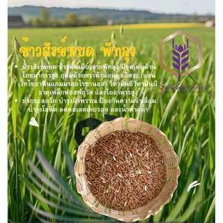 ข้าวสังข์หยด กระสอบ5กิโลกรัม ตราทรัพย์ธนา ข้าวใหม่ หอม
