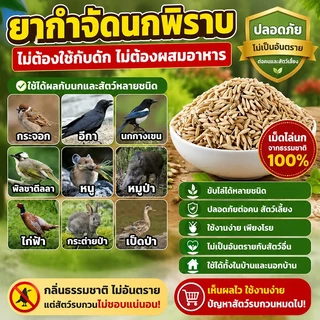 🕊️ของแท้100%🕊️ ยาเบื่อนก ยาฆ่านกพิราบ 500กรัม ยากำจัดนกพิราบ กันฝน กันแดด เหยื่อกำจัดนกพิราบ ยาเบื่อ นกพิราบ