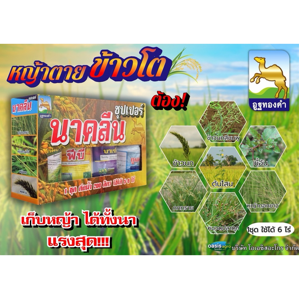 1 ชุด 6 ไร่ ซุปเปอร์นาคลีน หญ้าตาย ข้าวโต หญ้า เกลี้ยงนา