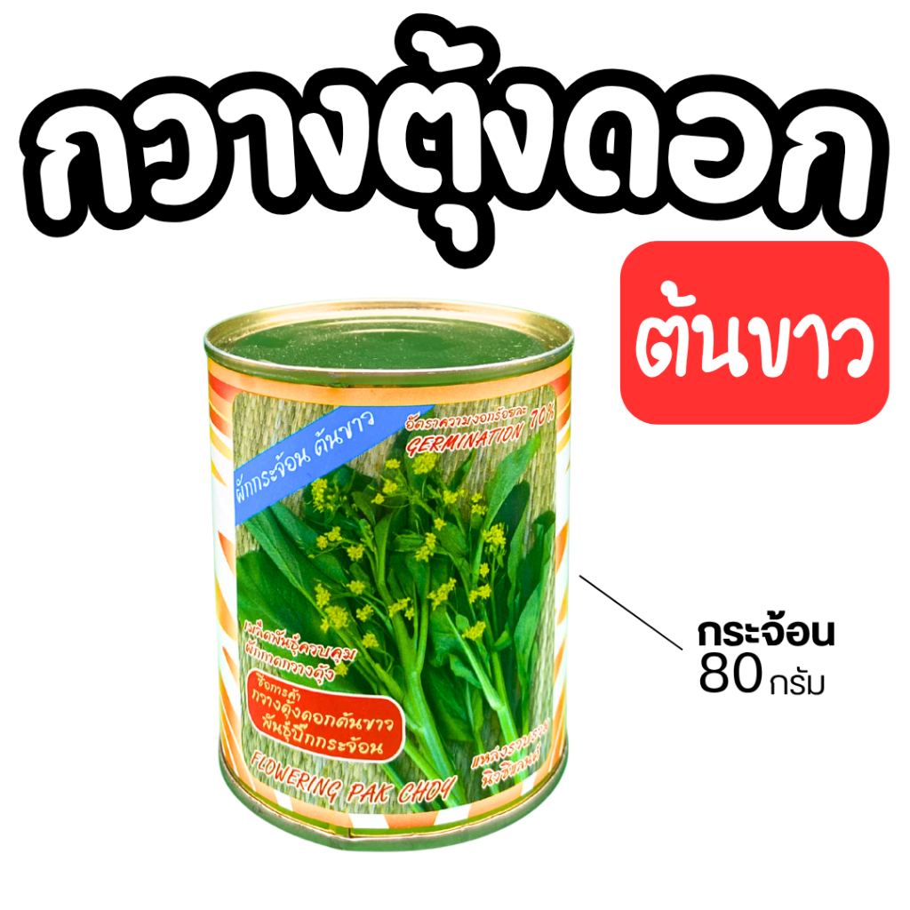 เมล็ดพันธุ์ผักกาดกวางตุ้ง ตราสี่ทิศ (**80 กรัม**) กวางตุ้ง ปลูกง่าย โตเร็ว ก้านอวบใหญ่