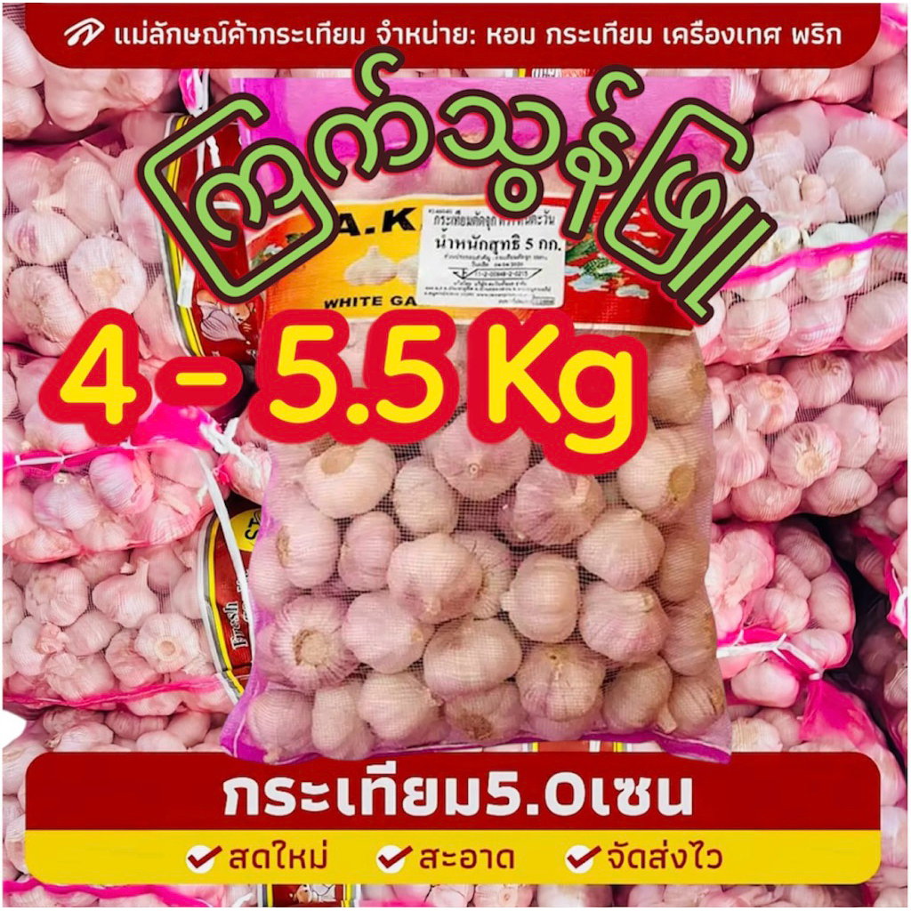กระเทียมจีนหัวใหญ่ ขนาด5.5-6CM ยกกระสอบ น้ำหนัก 4-5.5 KG (มีจำกัด)