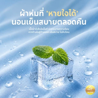 ผ้าห่มไหมเย็น ผ้าห่มเย็นเบา เย็นทันทีที่สัมผัส นุ่มลื่น ระบายอากาศได้ดี 5/6/ 6.5 ฟุต BLANKET