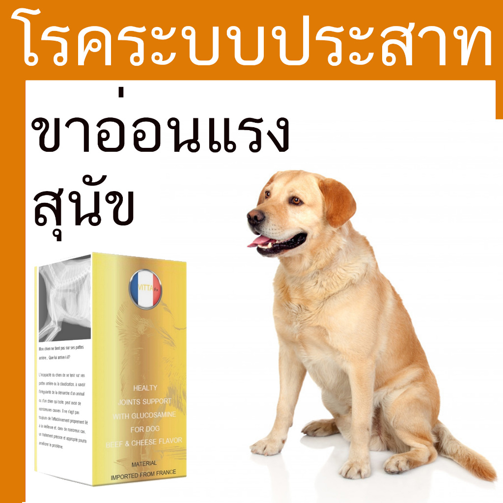 Calflex เสริมวิตามินและกลูโคซามีน ดูแลสุขภาพข้อต่อสุนัขและแมวโต บรรจุ 30 เม็ด