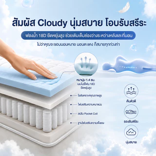 QUGOO ที่นอนสปริงอัดสุญญากาศที่มีความยืดหยุ่นสูง 8 นิ้ว 3.5/5/6 ฟุต เข้ากับส่วนโค้งของร่างกายมนุษย์ นอนหลับอย่างสงบ