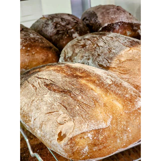 Ciabatta (hybrid sourdough) เซต 3 ชิ้น