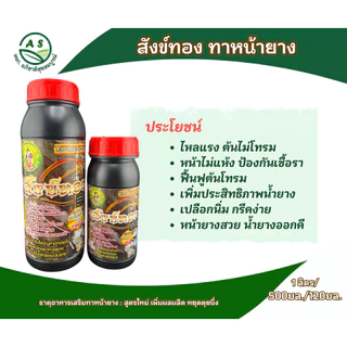 สังข์ทอง ขวดใหญ่ ยาทาหน้ายาง สูตรเข้มข้น สำหรับยางตายนึ่ง / ยางอายุ 15 ปี+ เพิ่มน้ำยาง ยางก้อน ยางพารา [3040]