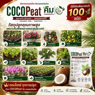 [Organic]CocoPeat ล้างสารเทนนิน ขนาด 100 ลิตร By.คิม เกษตรเงินล้าน