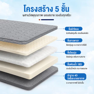 ที่นอนยางพาราแท้ 100% เพื่อสุขภาพ กระจายแรงกด ลดอาการปวดหลัง 3.5ฟุต 5ฟุต 6ฟุต ห้องนอน ห้องเช่า พร้อมส่ง