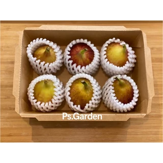 ฟิดสด มะเดื่อฝรั่ง fresh fig กล่อง 250 กรัม