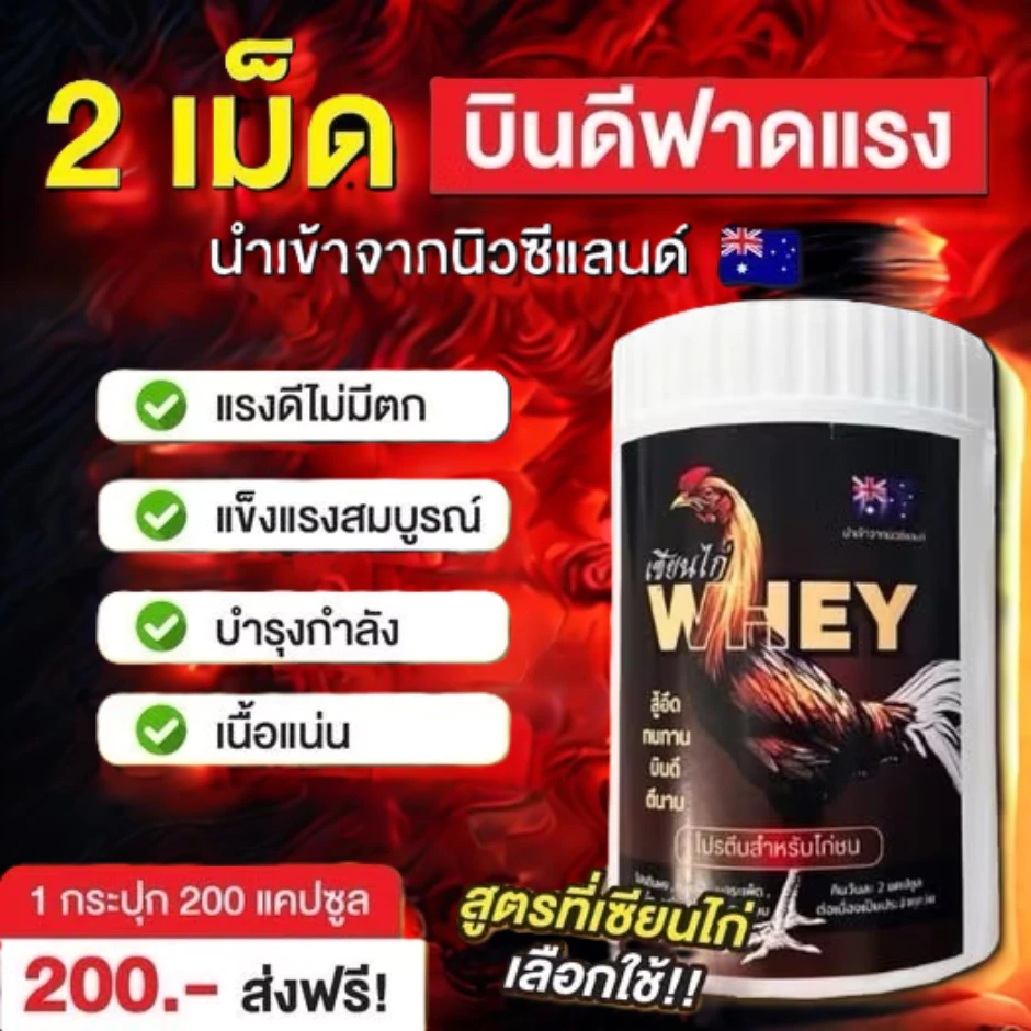 เซียนไก่เวย์โปรตีน บินดีไม่มีตก อึด ทน แรงดี บำรุ่งไก่ชน ของแท้