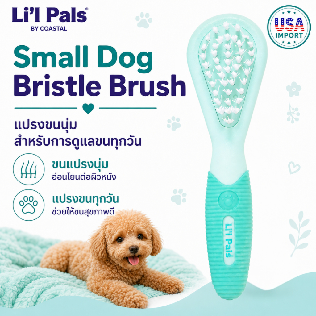 Li'l Pals Bristle Brush แปรงขนหมูเทียมขนาดจิ๋ว ขนนุ่ม ช่วยให้ขนขึ้นเงา เหมาะกับ ลูกสุนัข สุนัขทอย แมว ลูกแมว