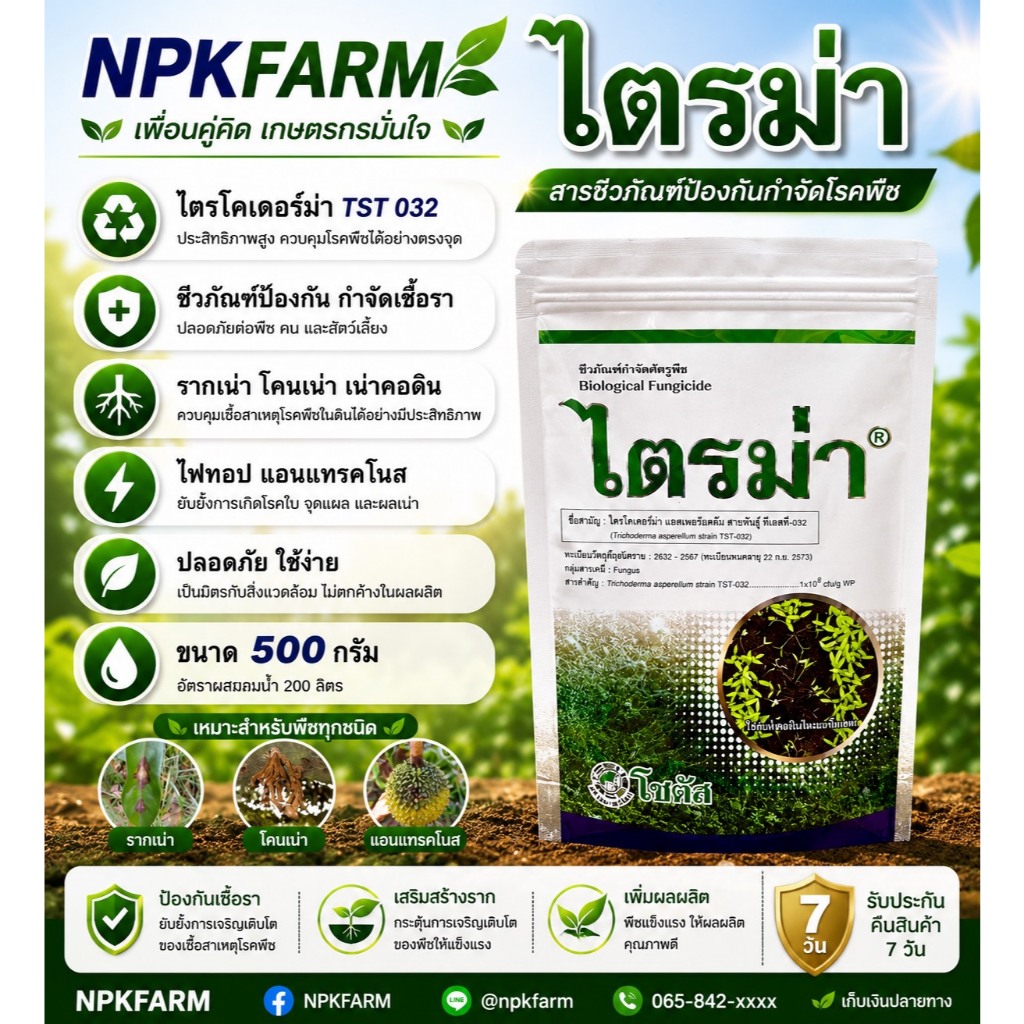 โซตัส ไตรม่า ไตรโคเดอร์มา สายพันธุ์ tst-032 ขนาด 500 กรัม ชีวภัณฑ์ กำจัดเชื้อรา รากเน่าโคนเน่า