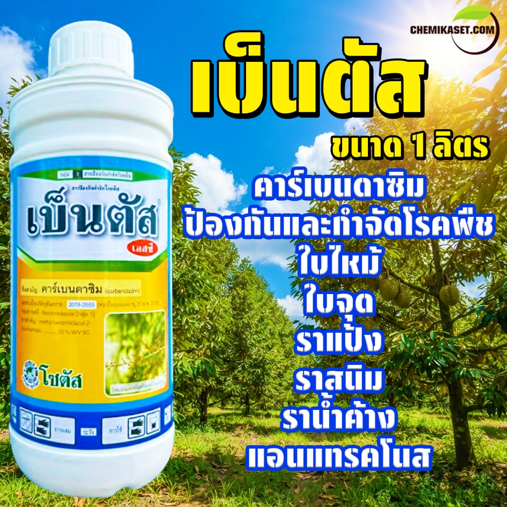 เบ็นตัส เอสซี ขนาด 1 ลิตร คาร์เบนดาซิม ป้องกันกำจัดโรคพืช โรคกาบใบ โรคช่อดอดำ บ.โซตัส