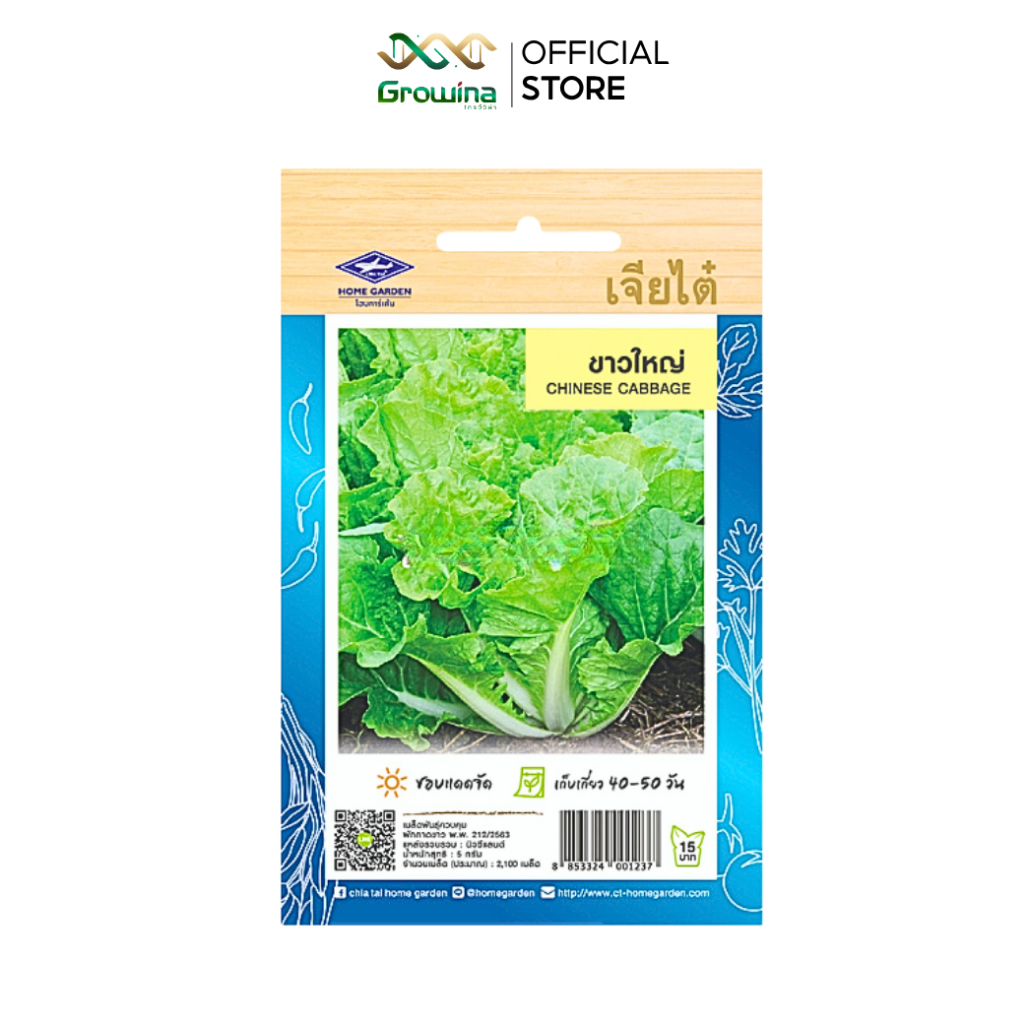 CHIA TAI เมล็ดพันธุ์ผัก เจียไต๋ เมล็ดผักพื้นบ้าน ผักซอง ผักกาดขาวใหญ่