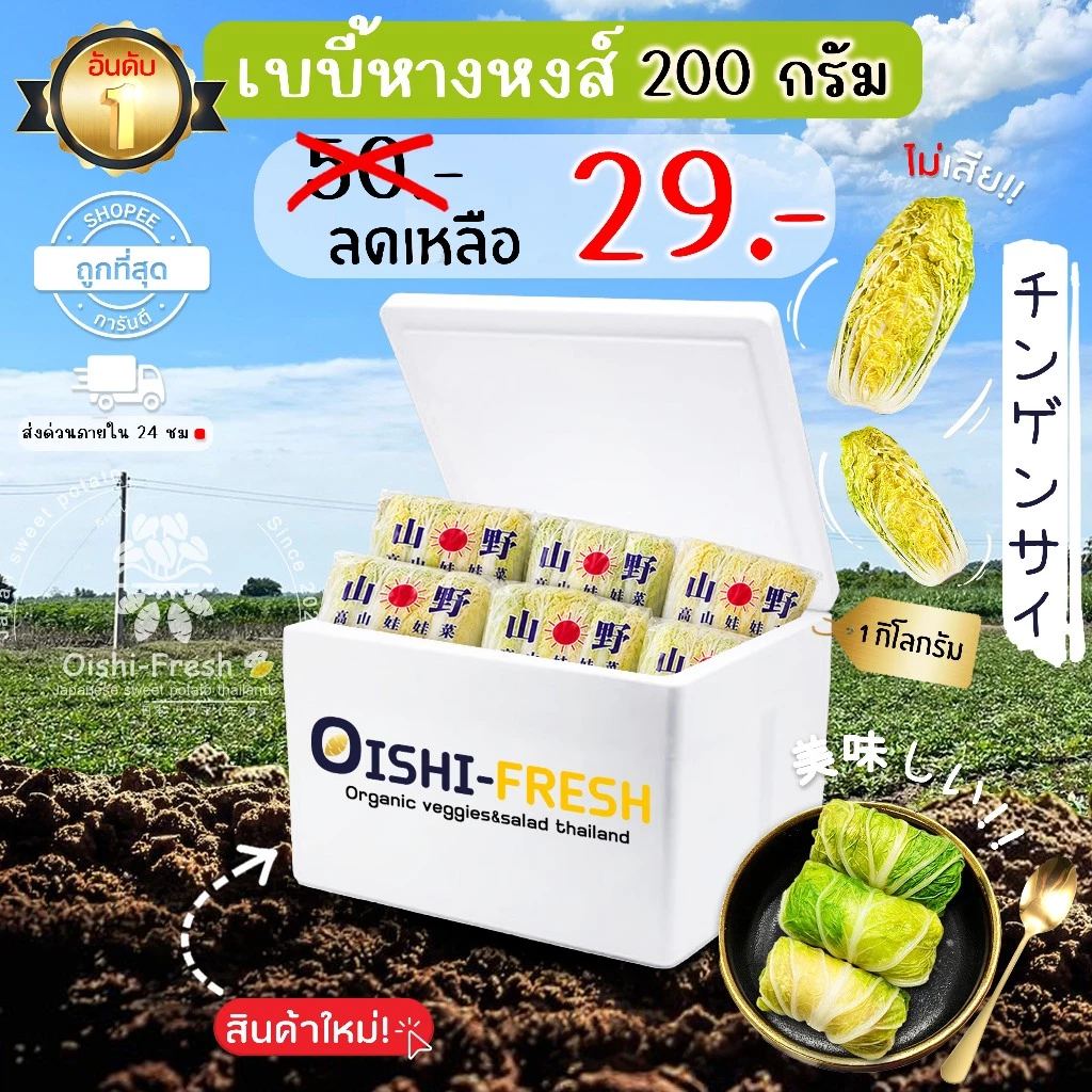 🛒Oishi-Fresh 🥬เบบี้หางหงส์ ปลอดสารพิษ 1 แพ็ค 200 ก. รสชาติกรอบ สด ใหม่ ใยอาหารสูง หวานออร์แกนิค เคลมได้ 1-2 วัน