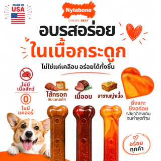 🇺🇸Made in USA🇺🇸 Nylabone Power Chew Bone Dog Toy กระดูกกัดแทะ ของเล่นขัดฟันสุนัข ไร้สารพิษ 3 ชิ้น