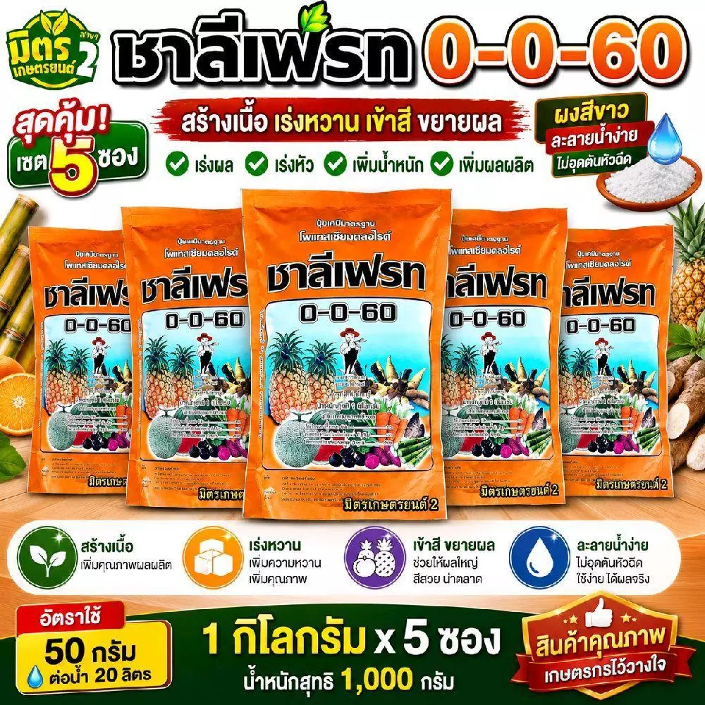 (แจกโค้ด20%กรอก INC768UQ ช่องโค้ดช้อปปี้)ปุ๋ยเกล็ดชาลีเฟรท 0-0-60 เซ็ต 5 ถุง [ ขนาด 1 กิโลกรัม×5ถุง ] #พร้อมส่ง