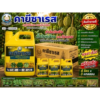 คายีซาเรส ขนาด 4 ลิตร เซท 3 แกลลอน ตราหวีทอง กลูโฟซิเนต-แอมโมเนียม 15% SL