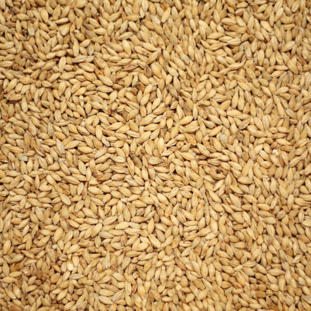 มอลต์ Munich Malt - Chateau Malt ทำเบียร์ 5 Kg.