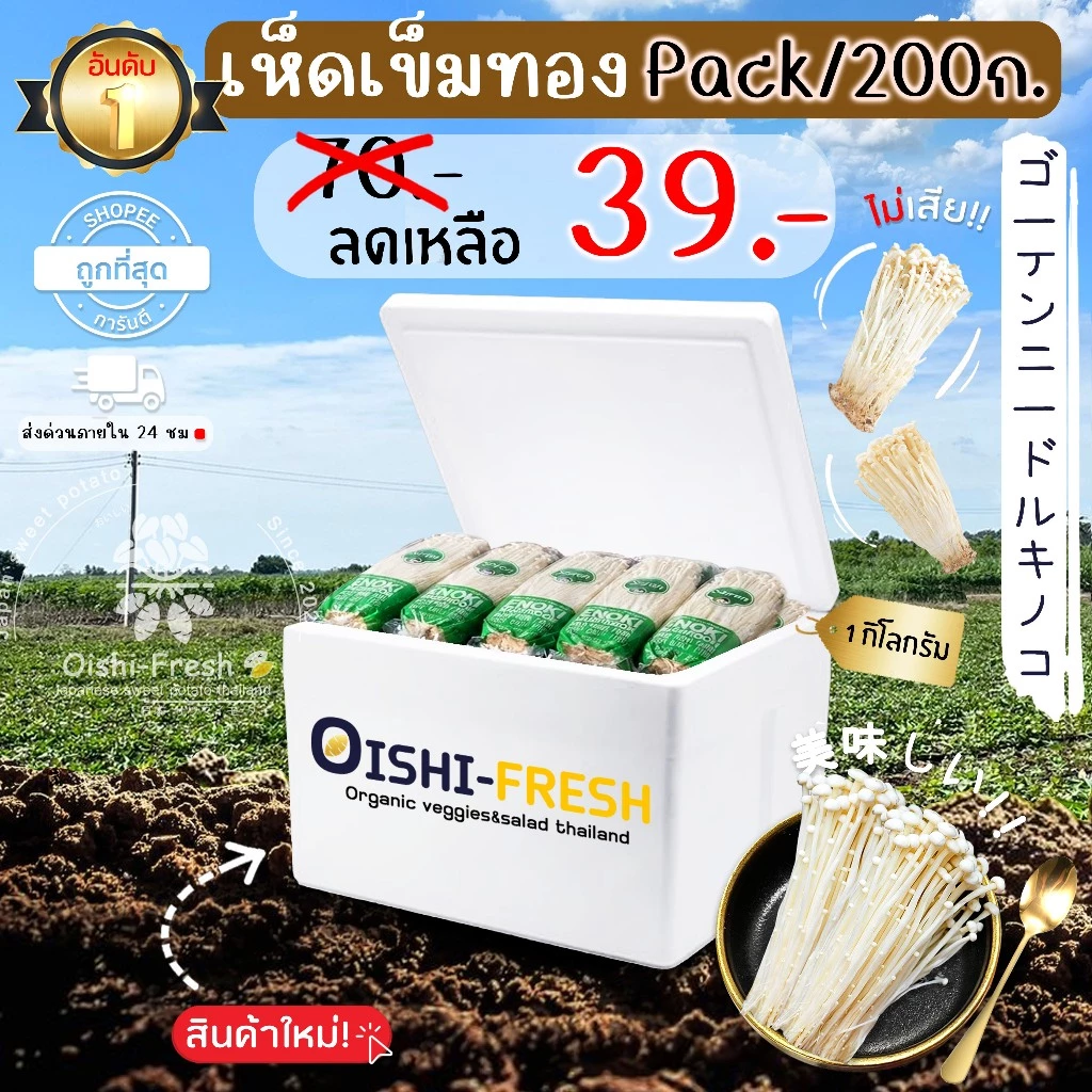 🛒Oishi-Fresh🍄เห็ดเข็มทอง ปลอดสารพิษ 1 แพ็ค 200 ก. รสชาติกรอบ สด ใหม่ ใยอาหารสูง หวานออร์แกนิค ผักเคลมได้ 1-2 วัน
