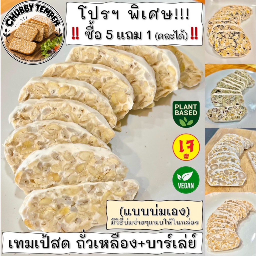 เทมเป้สด ถั่วเหลือง+บาร์เล่ย์ (5แถม1) 100g. (แบบบ่มเอง) โปรตีนจากพืช PlantBased เจ Vegan มังสวิรัติ Tempeh