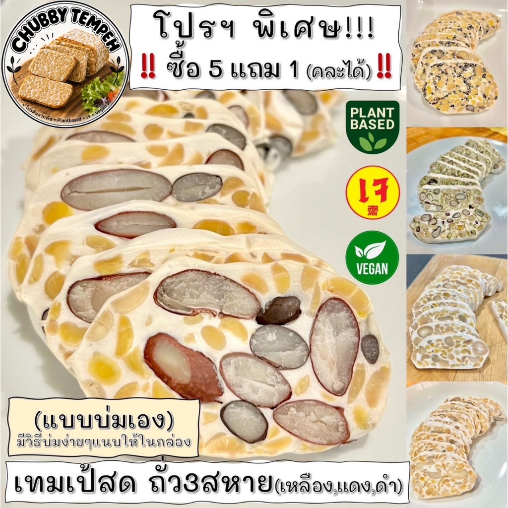 เทมเป้สด ถั่ว3สหาย (5แถม1) 100g. (แบบบ่มเอง) โปรตีนจากพืช PlantBased เจ Vegan มังสวิรัติ Tempeh