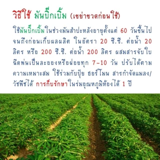 มันบิ๊กเบิ้ม BigBerm, BB1 ปุ๋ยน้ำทาง ระเบิดหัวมัน แตกหัว เร่งราก หัวใหญ่ เพิ่มแป้ง เพิ่มน้ำหนัก เพิ่มผลผลิต ขวด 1 ลิตร