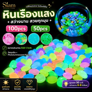 Siam หินเรืองแสง หินกรวดตกแต่งสวน แต่งตู้ปลา กระถางต้นไม้ เรืองแสงในที่มืด สีสวย ใช้งานง่าย พร้อมส่ง COD