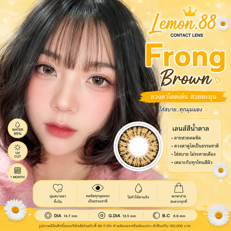 คอนแทคเลนส์ Frong/Sapphire/Pearl สีเทา/ตาล Gray/Brown