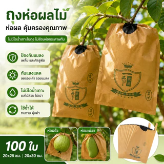 ถุงกระดาษคาร์บอนห่อผลไม้ ชุนฟง ขนาด 100 ใบ ถุงห่อมะม่วง ถุงคาร์บอน ทีเอบี ป้องกันแมลงวันทอง