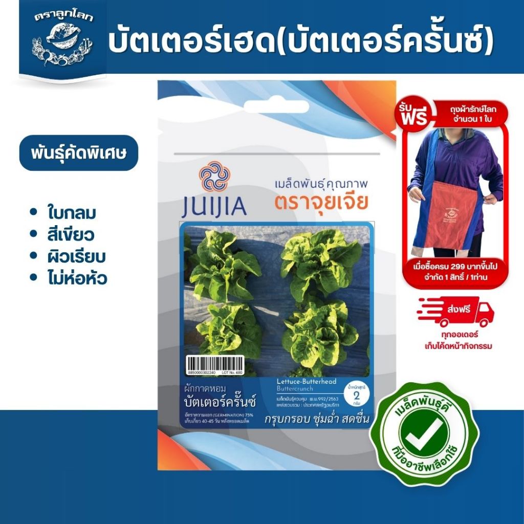 ตราลูกโลก เมล็ดผักกาดหอม บัตเตอร์เฮด(บัตเตอร์ครั้นซ์) Lettuce เมล็ดพันธุ์ผัก ผักสวนครัว ผักซอง ลูกโลก