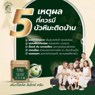 [พร้อมส่ง] [สินค้าของแท้ 100%] ครีมบัวหิมะ อีเอ๊กซ์ ครีม มาดามหลุยส์ MADAME LOUISE EX CREAM ลดการอักเสบของผิว ปริมาณ 45g