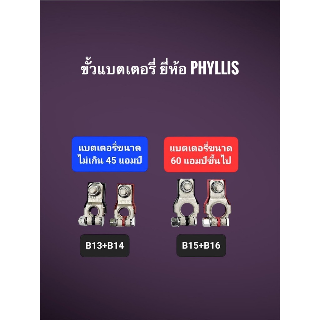 ขั้วต่อแบตเตอรี่รถยนต์ 2 ชิ้น (บวก-ลบ) ยี่ห้อ PHYLLIS *ไม่เกิน 45 แอมป์ สำหรับรถเก๋ง ขนาดเล็ก , 60แอ