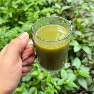 มิตรมนต์ | ชุดผักแข็งแรง🥬 สำหรับปั่นเพื่อสุขภาพ จะทานสด หรือจะทำน้ำผักปั่นก็ได้ สด สะอาด ปลอดสาร อ่านรายละเอียดก่อนสั่ง