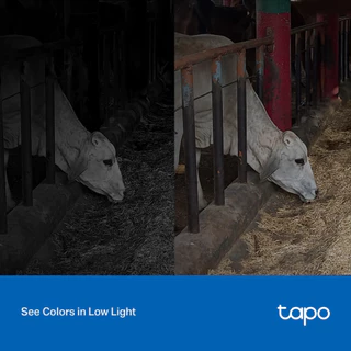 TP-Link Tapo C320WS ความชัด 4MP Outdoor Security Wi-Fi Camera กล้องภายนอก Full-Color Night Vision (รับประกันสินค้า 2 ปี)