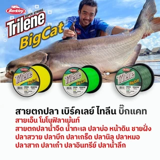 Berkley Trilene Big Cat เอ็น เบิร์คเลย์ ไทลีน บิ๊กแคท สายเอ็นโหลด โมโนฟิลาเม้นท์