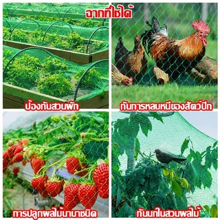 ตาข่ายล้อมไก่ไนลอน สูง 1.5-2.5 ม. ยาว 10/20/50/100 ม. อวนล้อมไก่เป็ด กันนก กันงู ทนแดด UV