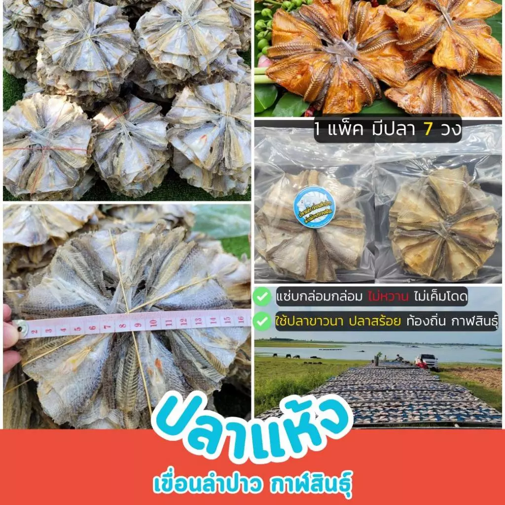 ปลาแห้ง ปลาวง เขื่อนลำปาว จ.กาฬสินธุ์ (1แพ็คมีปลา7วง) ไม่หวาน รสชาติเค็มนัว