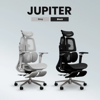 DESKSPACE เก้าอี้ทำงานเพื่อสุขภาพ รุ่น Stellar Ergonomic Chair เบาะนั่งตาข่ายเสริมฟองน้ำ พนักพิงปรับความสูงได้ 4 ระดับ